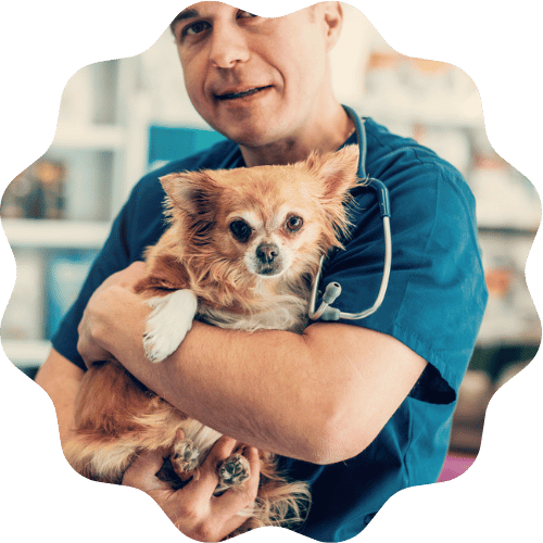 A man stands in a pet store